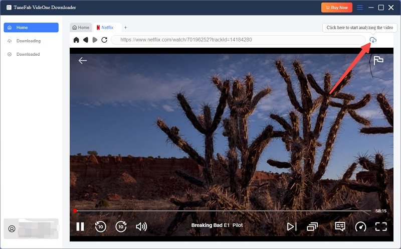 Add Netflix Video to Download