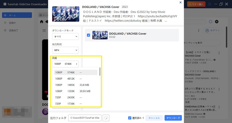 YouTube 解像度 ダウンロード