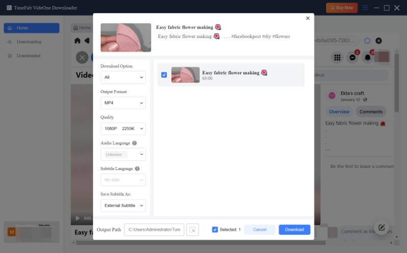 Select Output Format for Facebook Downloads
