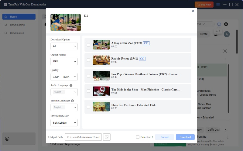 Select Output Format for Max Videos