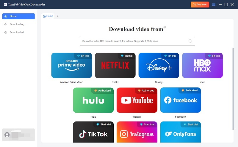 VideOne Downloader Interface
