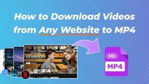 How to Download Videos from Any Website to MP4