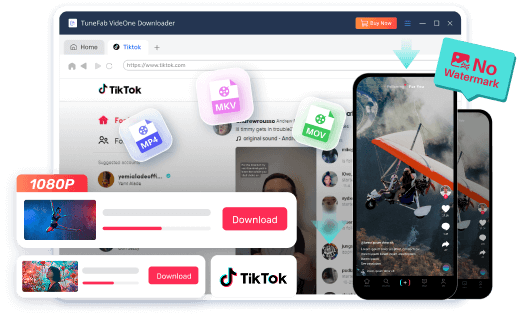 VideOne TikTok Downloader Hero Image