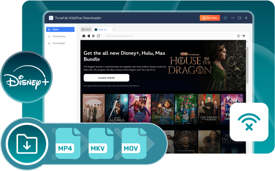 VideOne Disney Plus Downloader