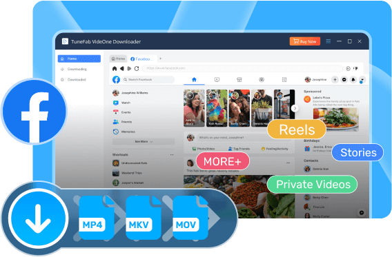 VideOne Facebook Downloader