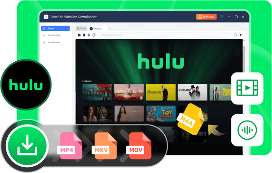 VideOne Hulu Downloader