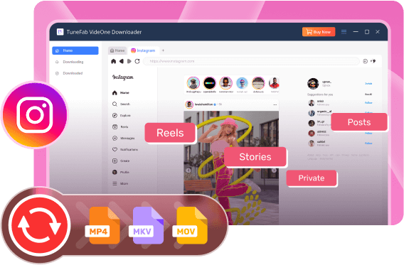 VideOne Instagram Downloader