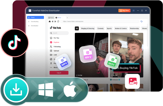 VideOne TikTok Downloader