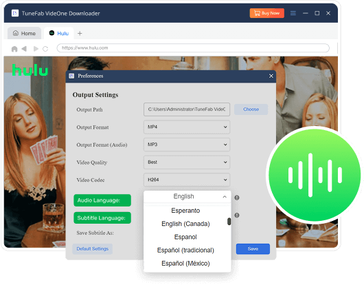 Multilingual Audio Track and Subtitle Choices