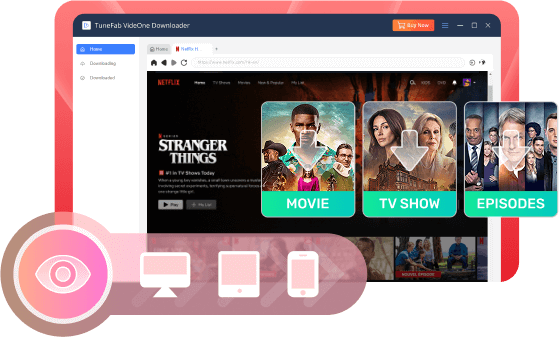 Any Netflix Content Supported