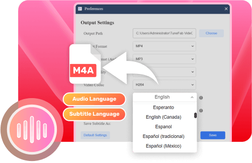 Various Audio Options on VideOne