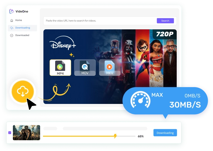 Disney+ Video Downloader Hero Image