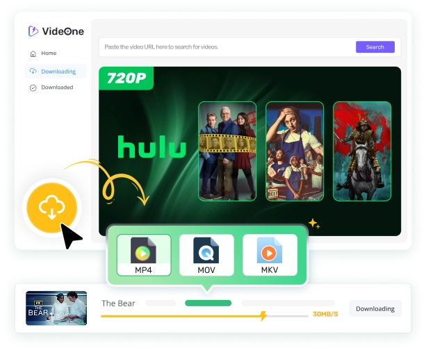 HULU VideOne Downloader Hero Image