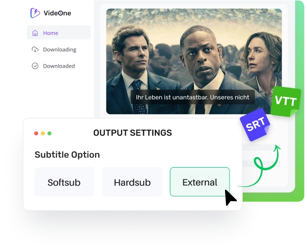 Offer Customizable Subtitle Options: Soft, Hard, and External