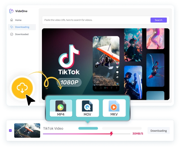 Tiktok Video Downloader Hero Image