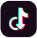 TikTok Video Downloader