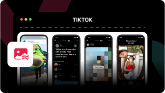 TikTok Downloader